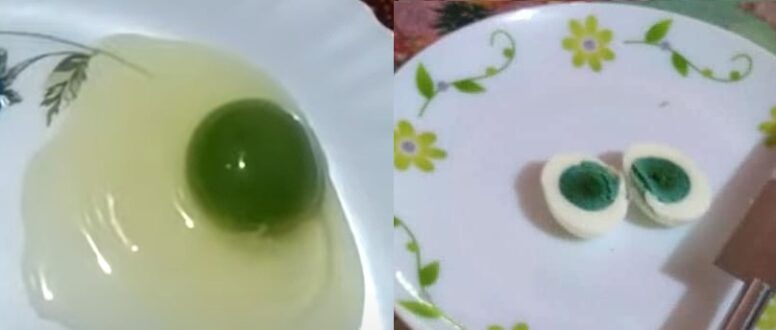 eggs-with-green-yolk
