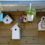 Feathered Haven Exploring the World of Birdhouses